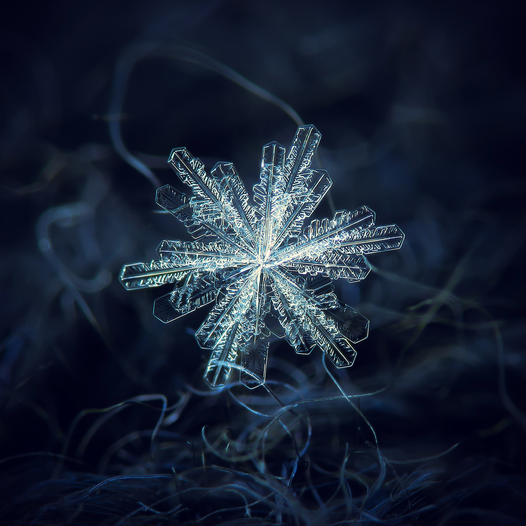 A snowflake in macro detail against a quiet dark ground — the six-fold symmetry that the Edo eye intuited centuries before microscopes confirmed it