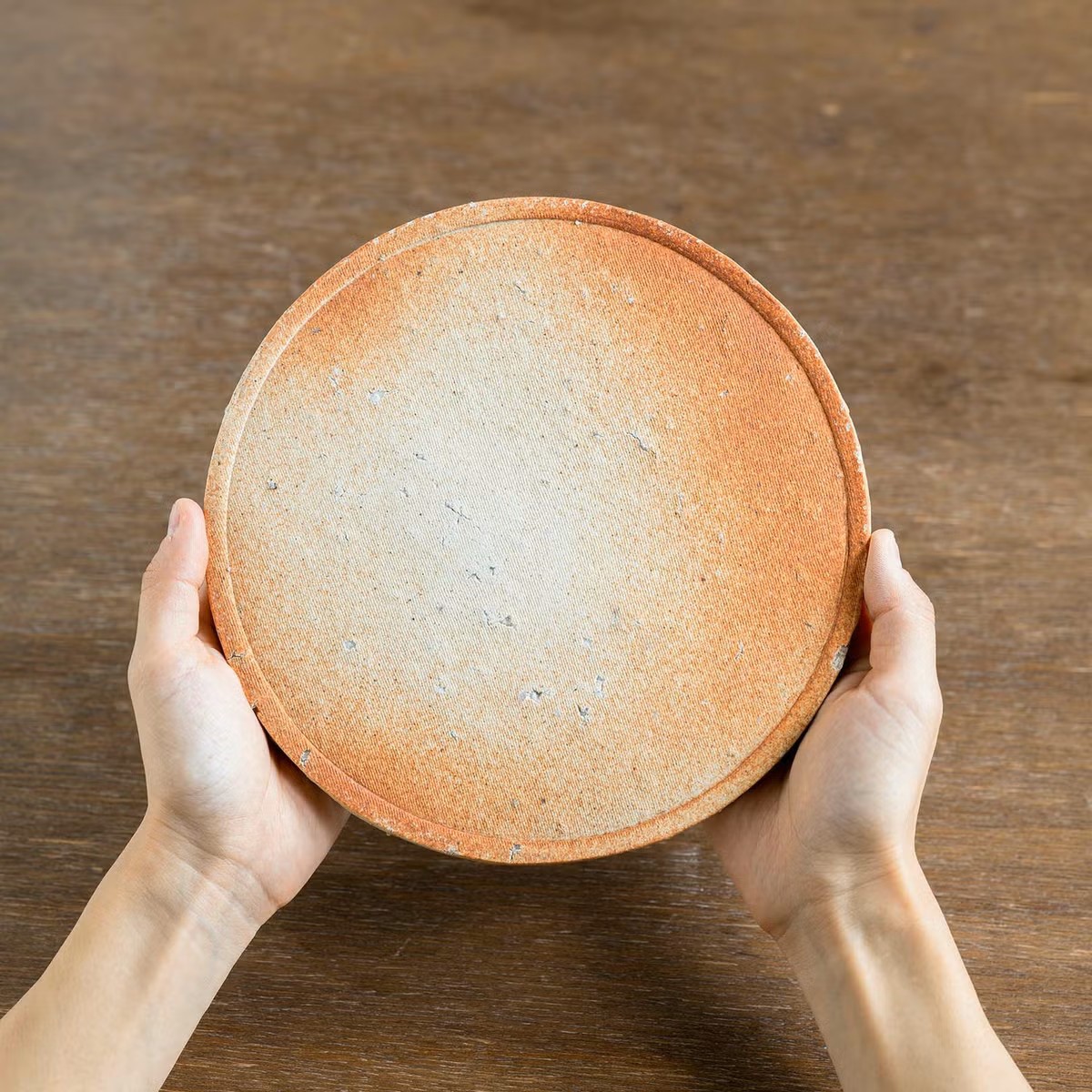 Two hands holding a Shigaraki-ware plate, showing its coarse, flecked surface