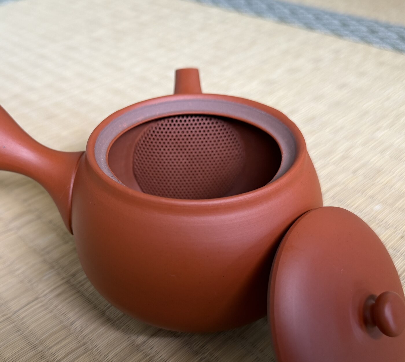 A close-up of a built-in ceramic tea strainer inside a vermilion Tokoname teapot