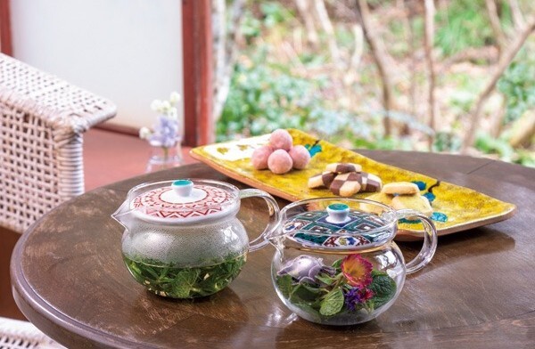 Contemporary photograph of Ko-Kutani piece on display